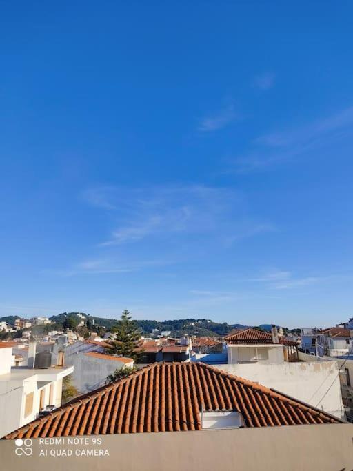 Bozikis House! A Cosy Apartment In The City Centre 斯基亚索斯镇 外观 照片