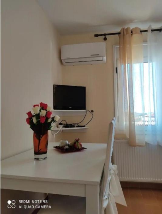 Bozikis House! A Cosy Apartment In The City Centre 斯基亚索斯镇 外观 照片